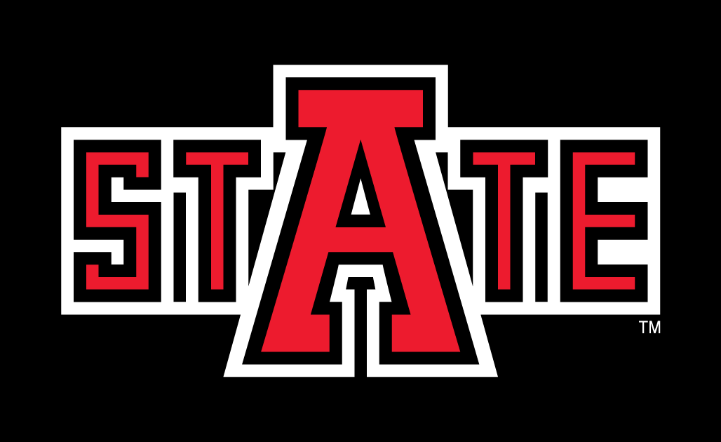 Arkansas State Red Wolves 2008-Pres Wordmark Logo v2 diy iron on heat transfer